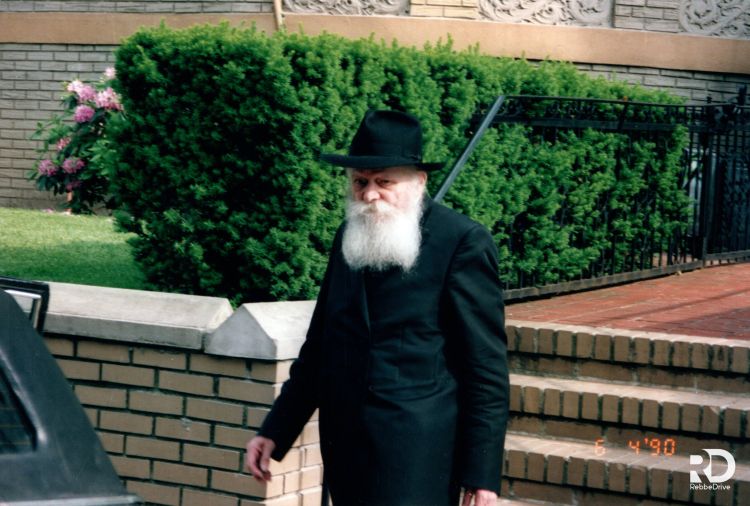 לקבל חיות חדשה